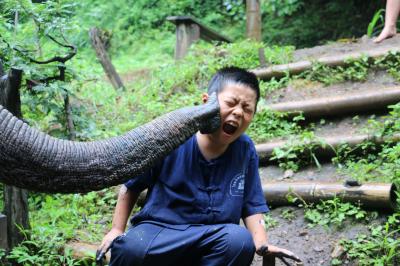 父ちゃんと息子の男旅 ⑨チェンマイ-5　～ タイ エレファント ホーム ～