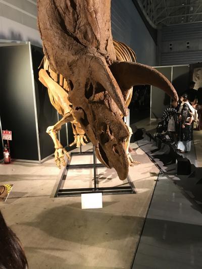 恐竜博に行きました