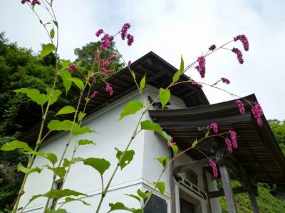 2017夏☆東北２県めぐり 山形（山寺）編