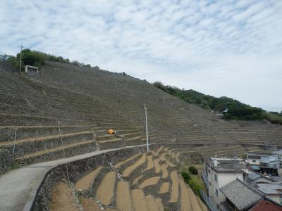 2017年GW　四国ほぼ一周の旅(10)　愛南町宇和島市など