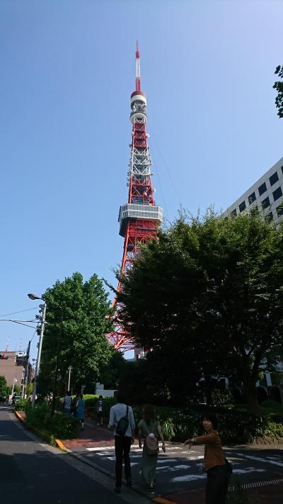 人形町からスタート　小網神社→玉ひで→東京タワー　ツアー