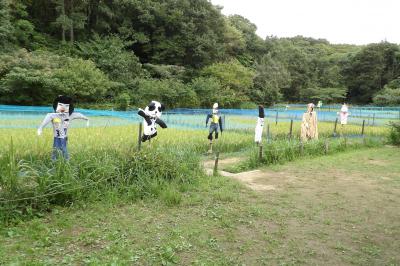 舞岡公園－2017年秋