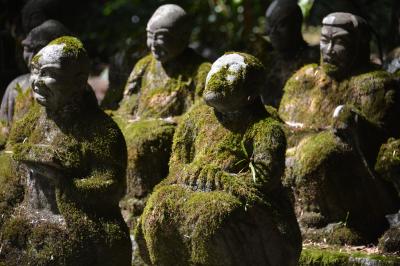 特別参観　修学院離宮・大徳寺興臨院・大雲院と安藤忠雄