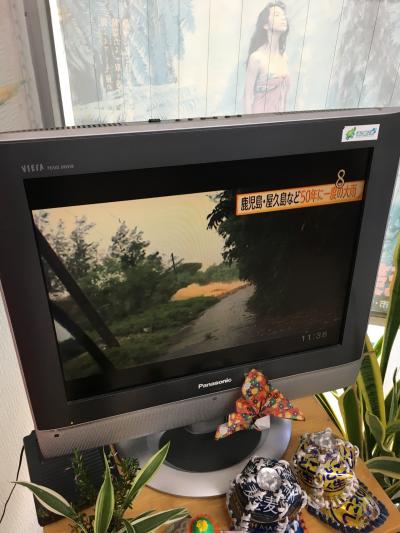 日本列島島巡りの旅っ①(奄美大島編)