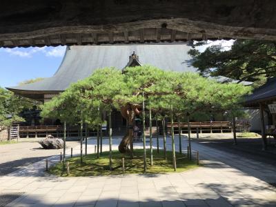 170914  ボンビー車中泊の旅　Vol.1　中尊寺・毛越寺