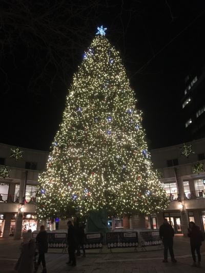 ボストン・ニューヨーククリスマス一人旅Part.1