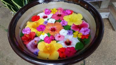 梅雨明けならずの宮古島~ユートピアファーム宮古島