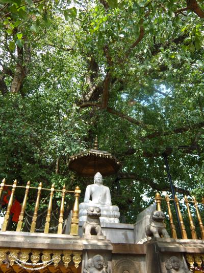 '16 GW 兄妹3人旅 スリランカ編-8 ~キャラニア寺院、帰国へ~