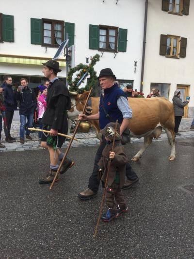ミッテンヴァルトの牛下ろしパレード