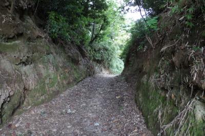 永勝寺の切通（横浜市戸塚区下倉田町）