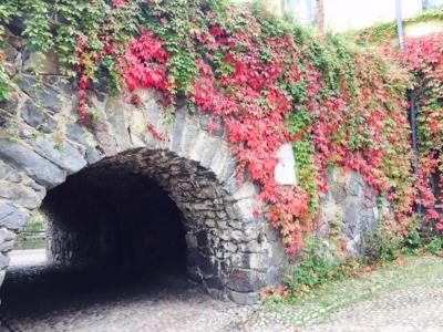 3泊5日弾丸ヘルシンキ1日目