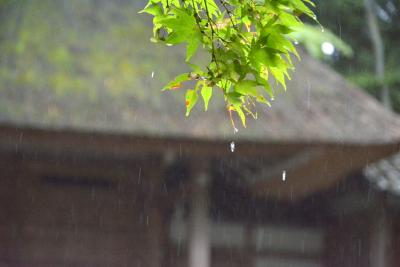 光明院から雨の法然院へ！2017年