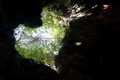 夏休みは離島へ行こう！～屋久島～