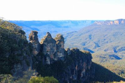 ブルーマウンテン Blue Mountain – ALLCAPS