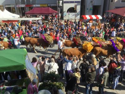 クーフシュタインの牛下ろしパレード