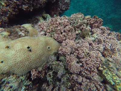 続そこにあるのになかなか行けない水納島　さてどうなるか　の2017年多良間島の秋休み（後編）