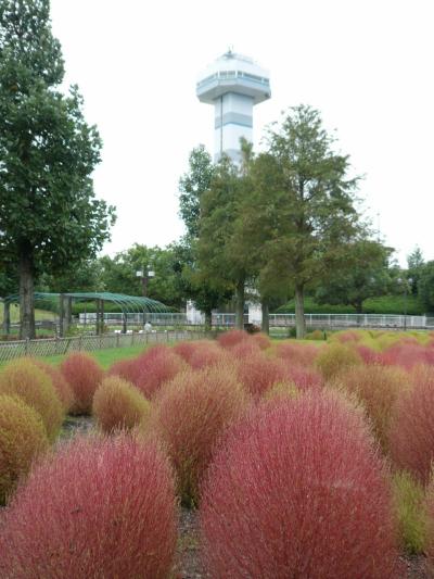 ■ 木曽三川公園となばなの里の旅