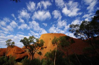 神秘のオーストラリア4都市周遊 5 8月29日 ウルル