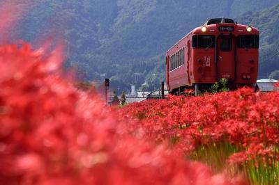 満開な彼岸花が咲き広がる播但線沿線ののどかな初秋の風景を探しに訪れてみた