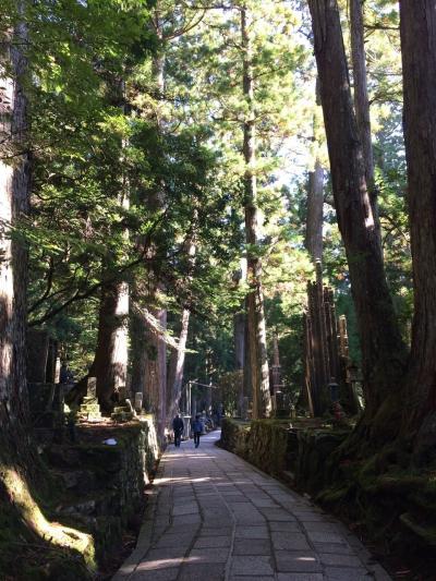 高野山 一泊修行体験と宿坊泊の2泊3日の旅