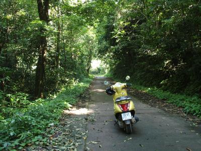 Ninh Ninh ニンビン Cuc Phuong クックフオン国立公園。２０ｋｍのジャングル林道ツーリングと、いきあたりばったりトレッキング。。。トレッキングに至るまで編。。。