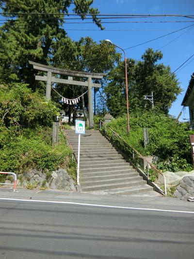 『絶対にほしいブルーインパルス柄の御朱印帳といしのまき元気市場』宮城県の旅行記・ブログ by まんべんなくさん【フォートラベル】