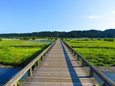 愛知で科学と動物、静岡で大自然を楽しんだ