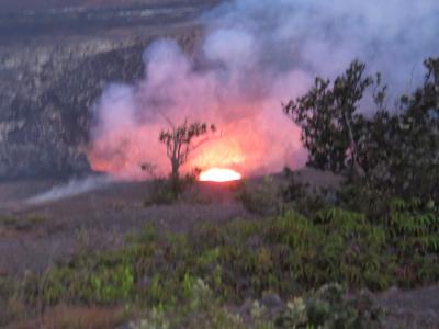 大満足！JAL直行便で初めてのハワイ島2