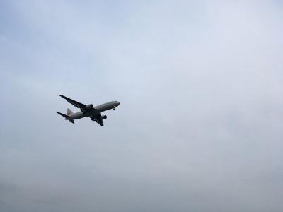 男一人で城南島海浜公園に飛行機を眺めに行ってきた