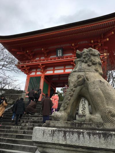 神社満喫！京都1人旅