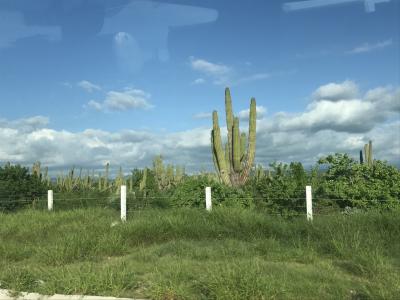 駐在のついでに【その120】香港からのメキシコ遠征 現地速報(3) LAから"ロスカボス"に到着。乗合バスで "La Paz" に移動中！