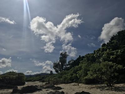 遅めの夏休み（国内編：石垣島など）