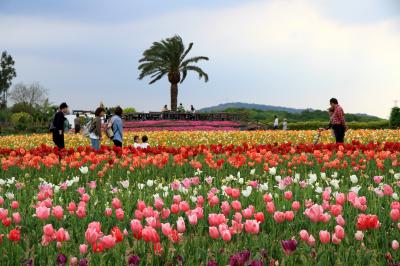 和泉リサイクル環境公園