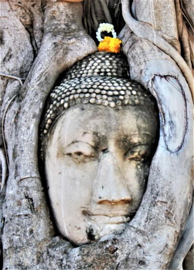 アユタヤ「世界遺産」に関する旅行記・ブログ(7ページ)【フォー アユタヤ「世界遺産」に関する旅行記・ブログ(7ページ)【フォー