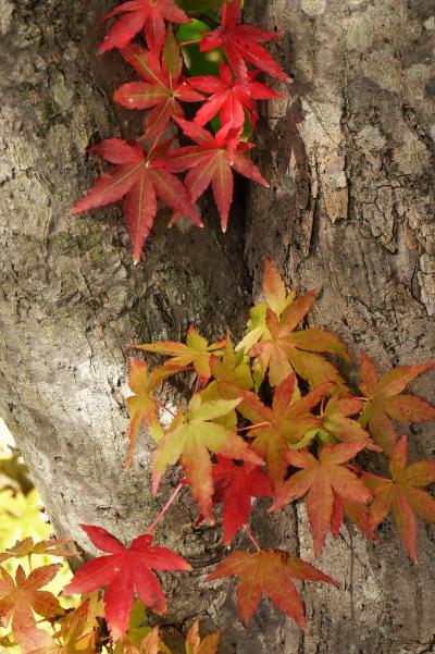神戸しあわせの村に小さい秋み～つけた！
