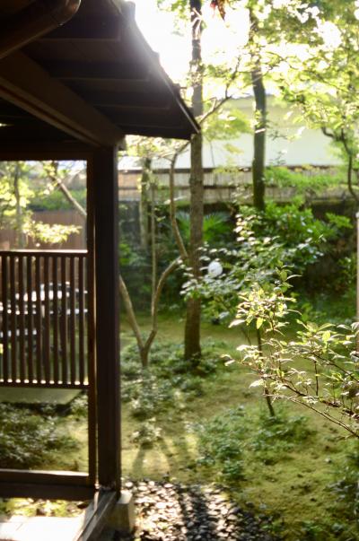 「由布院 玉の湯」で過ごす！秋のゆったり由布院！「ゆふいんの森」で行こう～！(由布院 玉の湯-天井桟敷-金鱗湖-Murata不生庵-ティールームニコルのアップルパイ)