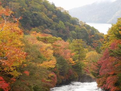 奥日光小西ホテルに泊まる（予想外の紅葉に大満足）