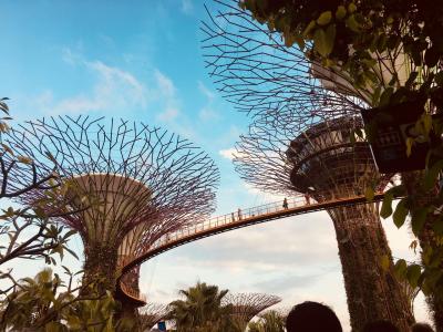 2017.09 恒例、9月のシンガポール旅行@フォーポイントバイシェラトンシンガポール