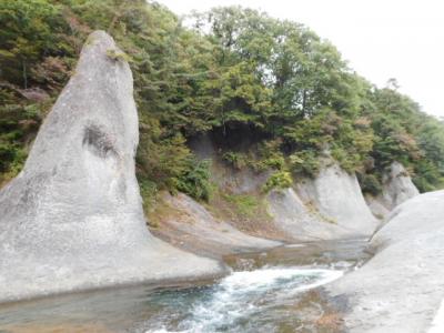 松茸尽くしのどっきり？旅