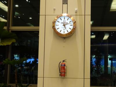 ２０１７年 OKA-SINどっぷり６～７日目（帰国編）