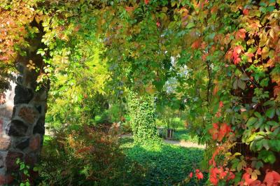 ショパンの生家は初秋の訪れを感じる素敵な所～かわいいポーランド探訪8日間②の1