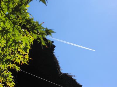 ひろしまの秋・縮景園の観月茶会