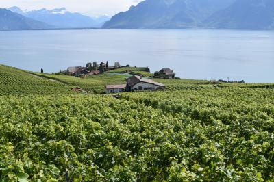 2017年9月　スイス・フランスの旅　スイス編⑧　世界遺産ラヴオー地区