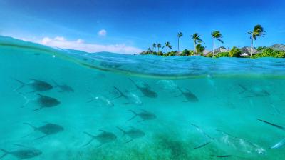 Hurawalhi Maldives フラワリ でのんびりな休日 番外編