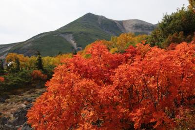 乗鞍岳の紅葉