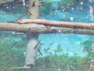 すっかり秋の北海道へ３泊４日＋１日☆その３☆神の子池・摩周湖～釧路センチュリーキャッスルホテルでプチ贅沢!(^^)!