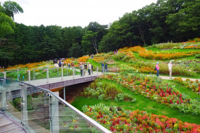 秋色の丘　コスモスゆれる里山ガーデン