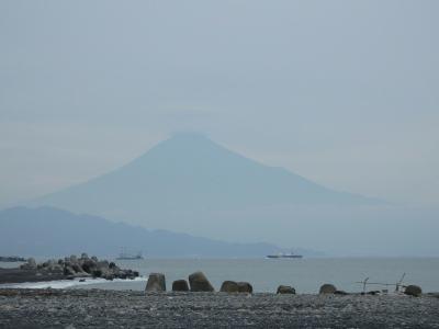 ともだち旅 一泊二日    薄曇りの富士山と静岡グルメ