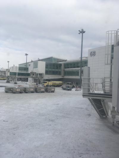 現地集合で両親をご案内~♪ 1