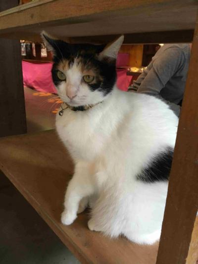 現地集合で両親をご案内~♪ 3